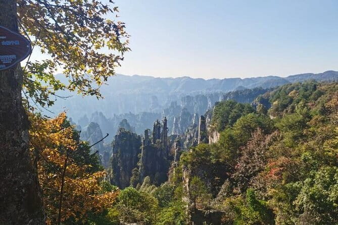1 Day Avatar Mountain & Fores Park Group Tour with VIP Access - VIP Access and Small Group Size: Why This Style Works in Zhangjiajie