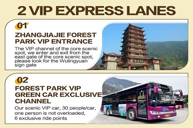1 Day Avatar Mountain & Fores Park Group Tour with VIP Access - How the 8 to 9 Hours Land: The Day’s Flow and What to Expect