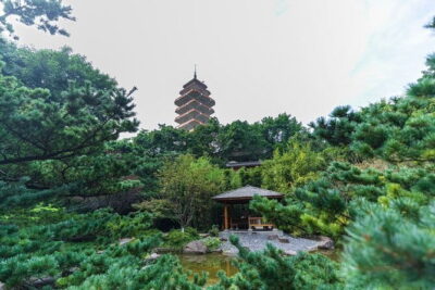 1 Day Chongqing Megacity Walking Tour