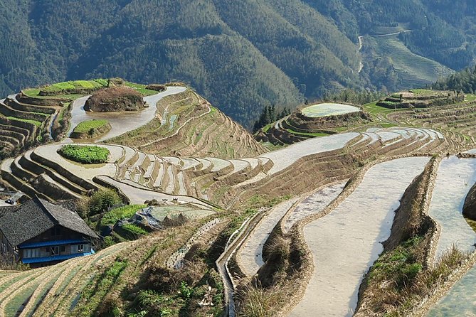 1-Day Longji Terrace Fields-Pingan village Tour with the English Speaking Driver - Hiking the Dragon’s Backbone: using your free time well