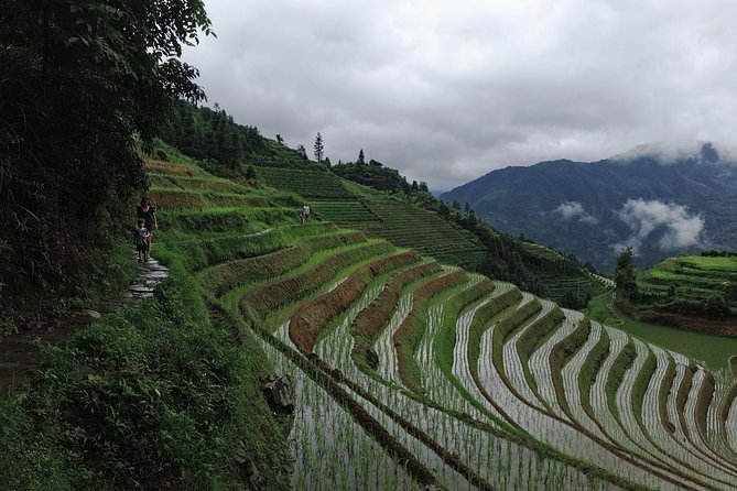 1-Day Longji Terrace Fields-Pingan village Tour with the English Speaking Driver - Price and value: what $78.54 really buys you