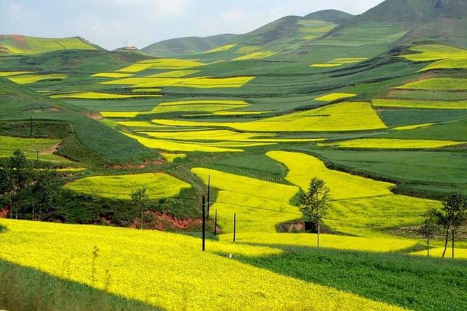 1-Day Longsheng Rice Terrace Tour from Guilin with Private Guide & Driver - Lunch on Your Own: A Small Gap You Can Use Well