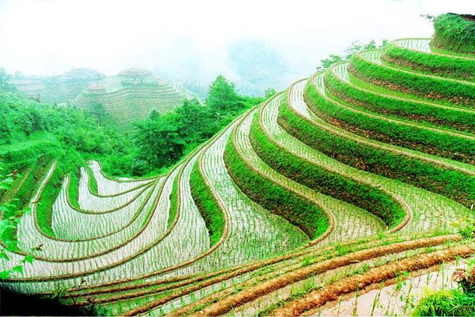 1-Day Longsheng Rice Terrace Tour from Guilin with Private Guide & Driver - Guilin to Longsheng: Transport That Keeps the Day From Draining You