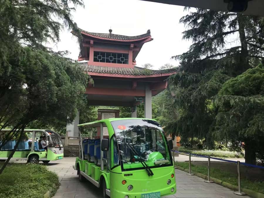 1-Day Mount Qingcheng and Dujiangyan Irrigation System Tour - Private Guided vs Self-Guided With a Chinese-Only Driver