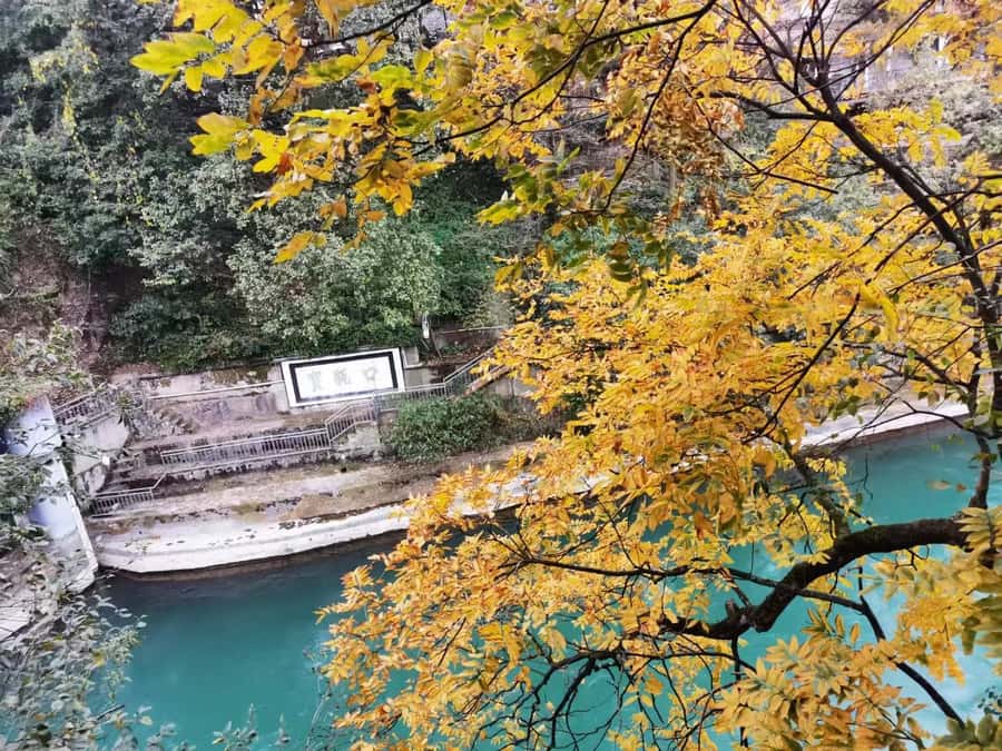 1-Day Mount Qingcheng and Dujiangyan Irrigation System Tour - Front Mountain at Mount Qingcheng: Taoist Sites You Can Name and Remember