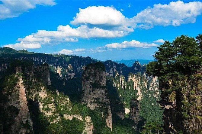1-Day Private Tour to ZJJ Forest Park with Off the Beaten Tracks - Your $115 Price: What You Get and What You’ll Pay Later