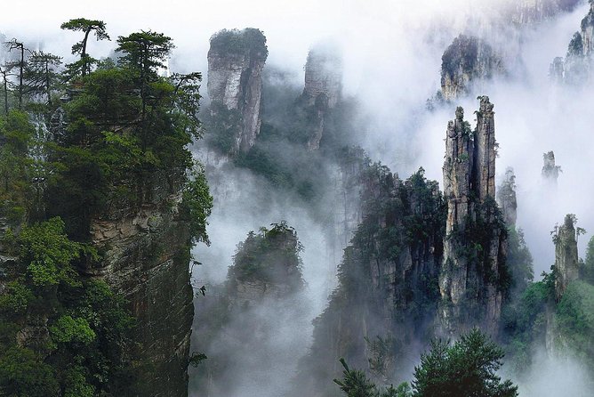 1-Day Private Tour to ZJJ National Forest Park & Avatar Mountain - Pickup, timing, and how the day really moves