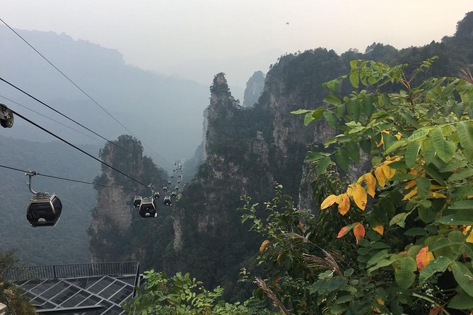 1-Day Private Tour to ZJJ National Forest Park & Avatar Mountain - Price breakdown and value, including the 365 RMB tickets