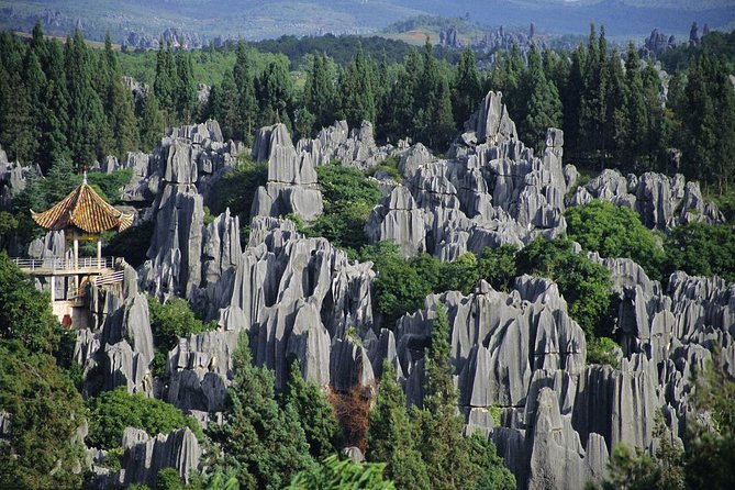 1 Day Stone Forest & Jiuxiang Cave Tour - Practical Tips That Can Save Your Energy