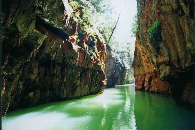 1 Day Stone Forest & Jiuxiang Cave Tour - Stone Forest: Walking Among Limestone Trees and Local Stories