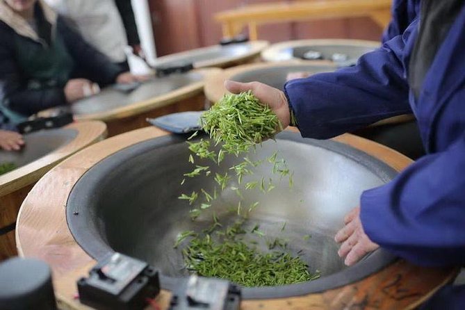 1-day Village Tea Picking, Roasting & Serving Guided Private Tour from Hangzhou - Classical tea ceremony and performance: how to get the most out of the tasting