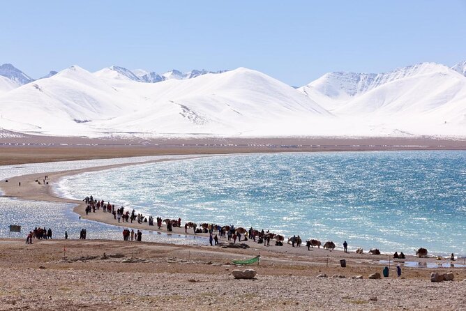 10 Days Tibet Everest Base Camp and Namtso Small Group Tour - Key highlights worth your attention