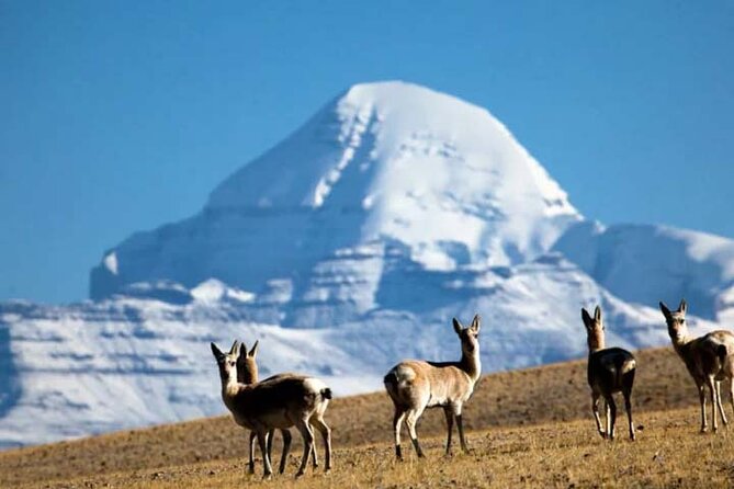 13 Day Lhasa, Mt. Everest, Mt. Kailash to Kathmandu Adventure - Riding west to Gyantse and Shigatse: passes, lakes, and the Kumbum effect