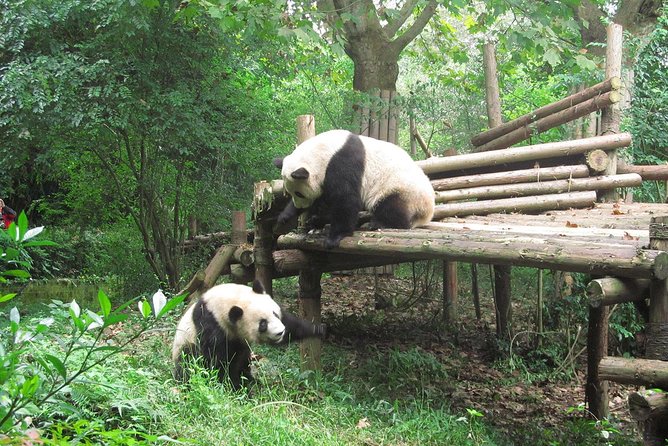16-Day Private China Essence Tour with Yangtze River Cruise - Key highlights you’ll feel fast