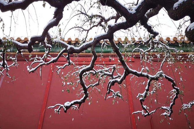 2-Day Beijing Sightseeing Highlights Combo Package with Lunch - Price and value: what $396 buys you in Beijing