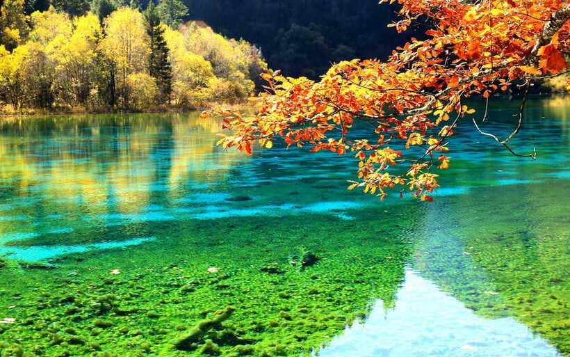 2 Day Chengdu to Jiuzhaigou&Huanglong Self-Guided w/Transfer - The private self-guided format: you stay in charge, but logistics get handled