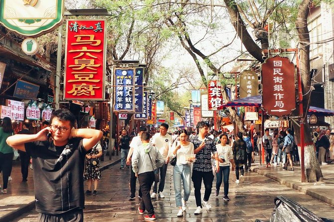2 Days Beijing Xian Private Tour by Bullet Trains with Hotel - Who should book this 2-day Xi’an plan
