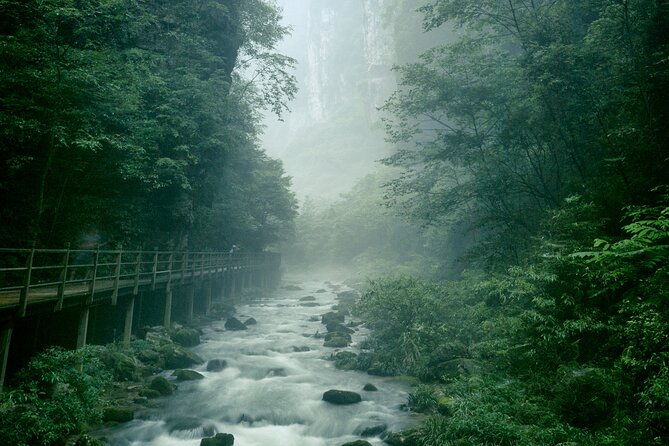 2 Full Days Zhangjiajie National Forest Park & Glass Bridge Tour - Day 3: Golden Whip Brook and the glass bridge stress test