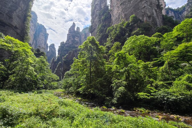 3-Day "A Bite" Of Mysterious West Hunan Tour (Zhangjiajie+Fenghuang) - Golden Whip Brook: A Canyon Walk That Feels Like a Reset