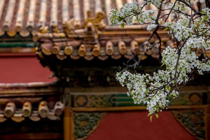 3-Day Private Beijing Tour with Forbidden City, Great Wall, Hutong and Lunch - Day 2: Mutianyu Great Wall early, with time to choose your pace