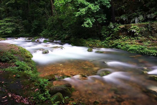 3-Day Private Zhangjiajie In-depth Exploring Tour - Guide Power: English Explanations and Flexibility That Changes the Day