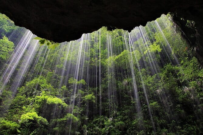 4-Day Private Zhangjiajie Tour: Avatar Mountains & Glass Bridge - Day 4: Tianmen Mountain, Tianmen Cave, and the glass skywalk