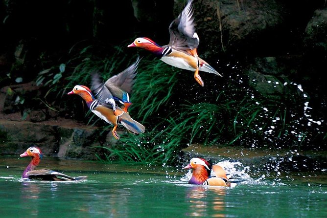 4-Day Zhangjiajie Tour to All Highlight Attractions with VIP Lift - Price and value: $511.52 plus the elevator and cablecar add-on