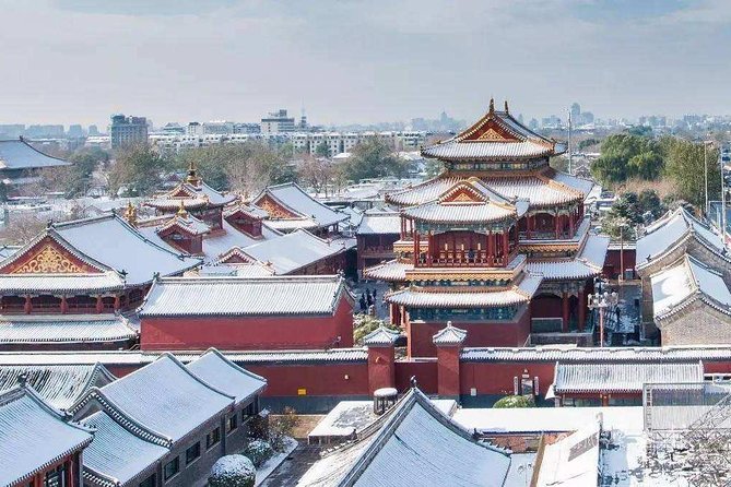 4-Hour Private Tour: Lama Temple, Confucius Temple, Guozijian Museum with Dim Sum - How a half-day private temple tour stays fun, not rushed