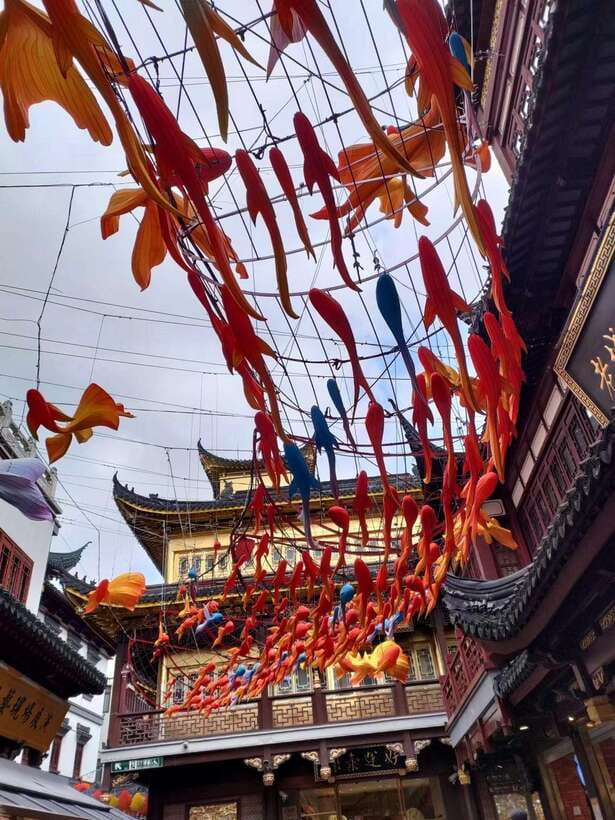 4-Hour Shanghai City Private Tour by German-Speaking Guide - Yu Garden: dragon wall, rockeries, pavilions, and the calm rhythm of an old garden