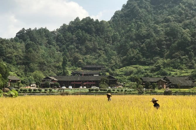5-Day Private Zhangjiajie Ultimate Experience Tour - Price and ticket reality: what $489 really buys