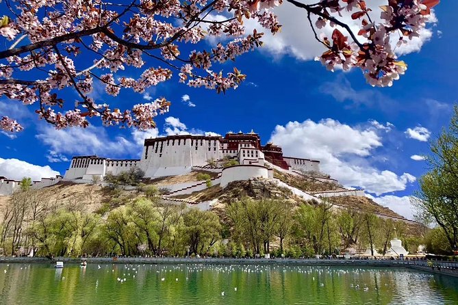 6 Days Central Tibet Culture Small Group Tour - Day One in Lhasa: Hotel Transfer, Acclimatize, and Easy Potala Square Photos