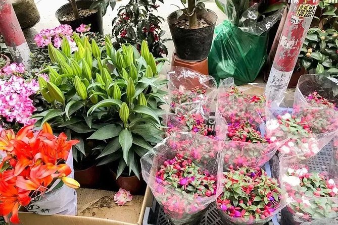6-Hour Private Beijing Tour: Flower and Fish Market, Panjiayuan Antique Market and 798 Art Zone - Stop 1 at Shilihe Culture: flowers, fish, and insect market energy