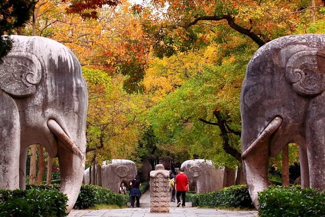 6-Hour Private Tour of Xiaoling Tomb,City Wall & Memorial Hall - Key Highlights You’ll Feel on This Tour