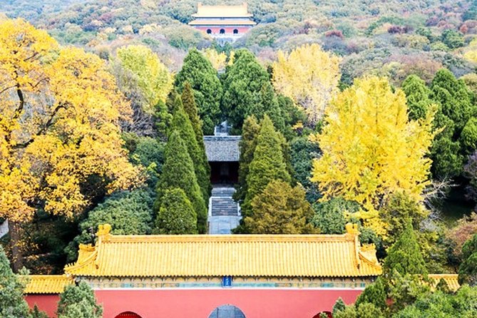 6-Hour Private Tour of Xiaoling Tomb,City Wall & Memorial Hall - Guides That Make the Difference, Fred and Emily as Examples