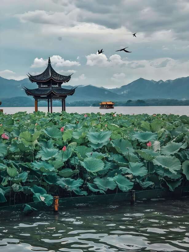 7 hours Hangzhou Tour Itinerary - Why this 7-hour Hangzhou route hits the right notes