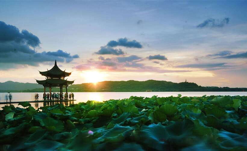 7 hours Hangzhou Tour Itinerary - The Benshan Longjing Tea Museum stop you can actually participate in
