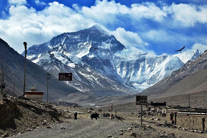 8 Days Lhasa Gyantse Shigatse Mt Everest Group Tour - Days 5 and 6: toward Everest Peak Lodge and Qomolangma National Nature Preserve