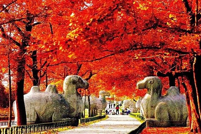 All Inclusive Nanjing City Private Day Tour with Tailor-Made Highlights - Private door-to-door timing for Nanjing’s big landmarks
