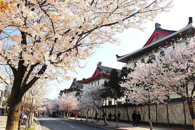 All Inclusive Nanjing City Private Day Tour with Tailor-Made Highlights - Meeting your guide and shaping the route on the fly