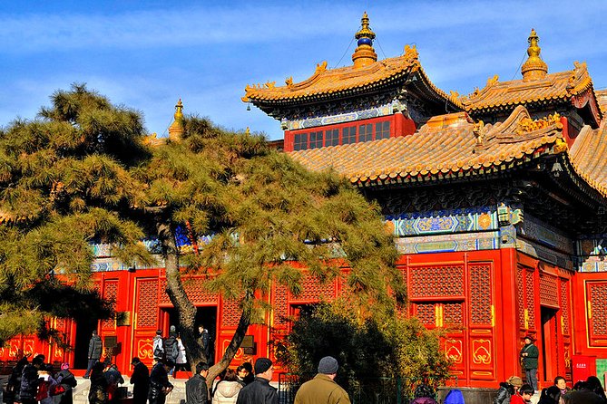 All-inclusive Private Day Trip: Hutongs, Lama Temple & Panda House with Lunch - Lunch and Timing: Fuel That Keeps the Day Comfortable