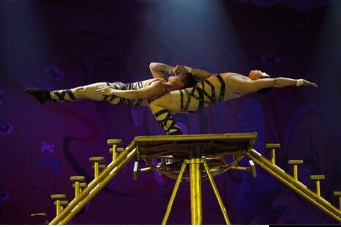 Beijing Acrobatic Show in Red Theater with Guide and Transfer - Your English-speaking guide and what makes the night feel easy