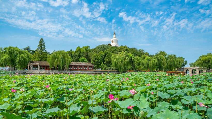 Beijing: Beihai Park Entry Ticket & English PDF Guidebook - The English PDF guide: your on-site “what am I looking at?” cheat sheet