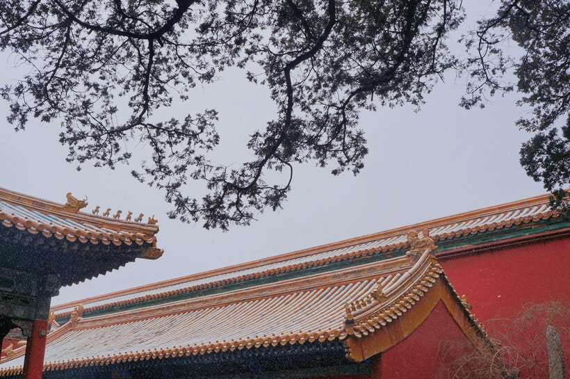 Beijing:Forbidden City & Tian'anmen Square with entry ticket - Forbidden City time that actually teaches you what to notice