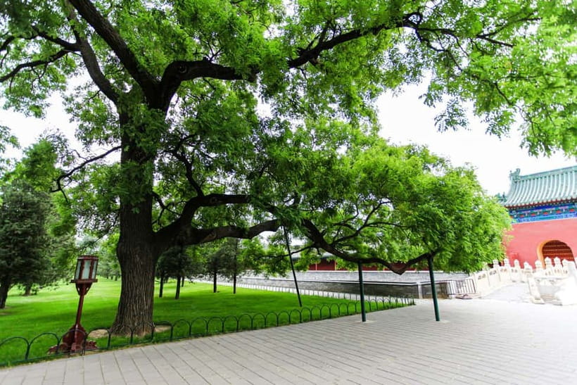 Beijing：Forbidden City Tour-Temple, Summer Palace&Great Wall - Group tour vs private tour: lunch, pace, and crowd control