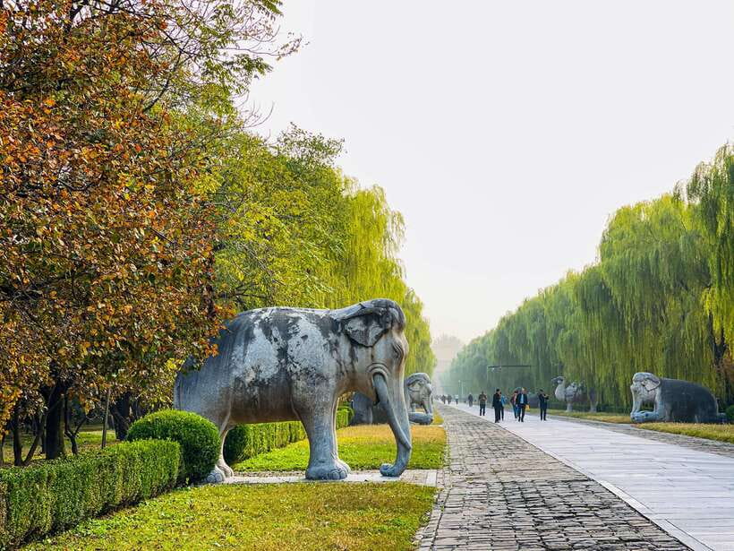 Beijing: Great Wall of China and Ming Tomb Private Tour - Walking Mutianyu near Tower 6: chairlift up, real hiking time