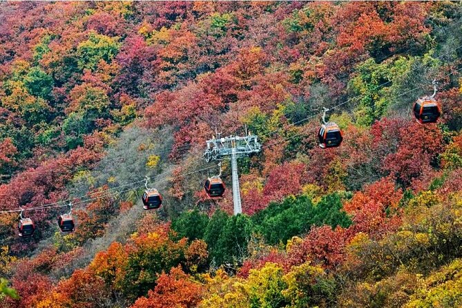 Beijing Great Wall Private Day Tour from Shanghai by Bullet Train - Mutianyu Great Wall: cableway, walking rhythm, and the toboggan add-on