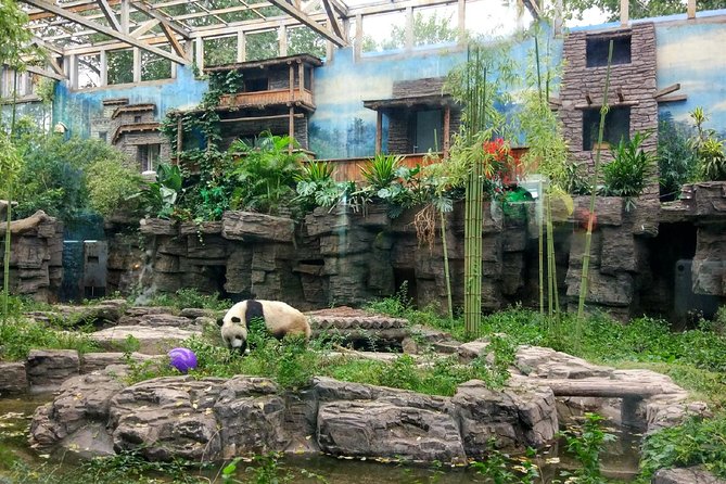 Beijing Half-Day Private Customized Tour: Visit Your Dream Spots - Price and what you’re really paying for at $75.60 per person