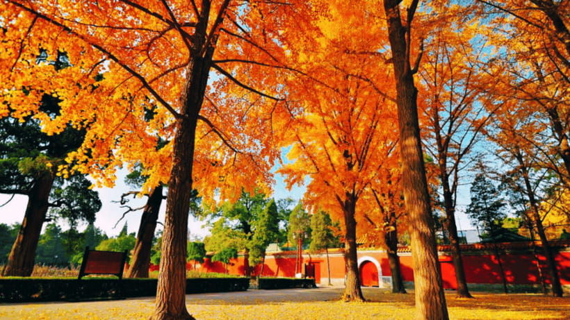 Beijing: JingShan park (palace museum garden) entry ticket - Why a Jingshan Park ticket is worth your Beijing time