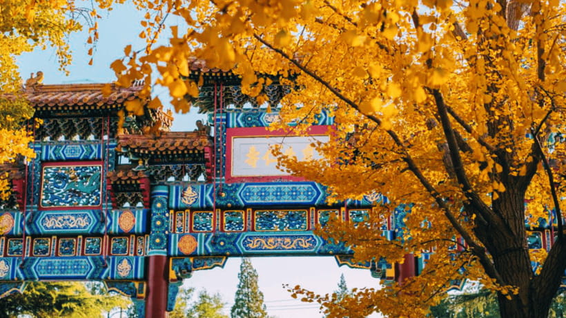 Beijing: Lama Temple (Yonghe Temple) Admission Ticket - The 18-meter Sandalwood Maitreya Buddha: The Moment That Actually Lands