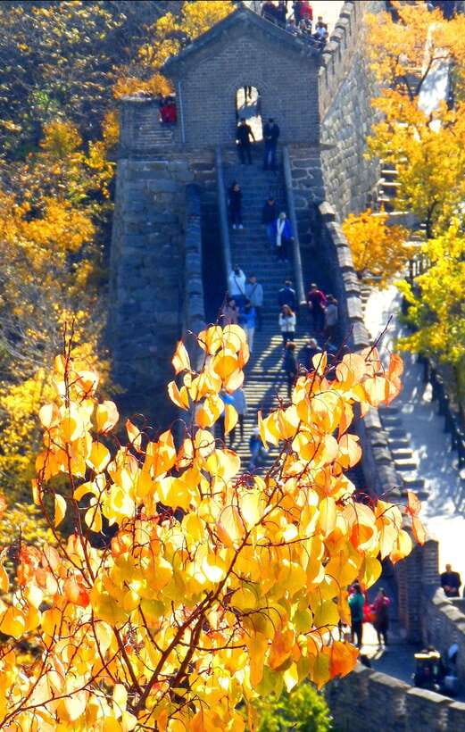 Beijing: Mutianyu Great Wall Bus Tour with Ticket &Cable car - Why Mutianyu Makes This Wall Day Feel Easy